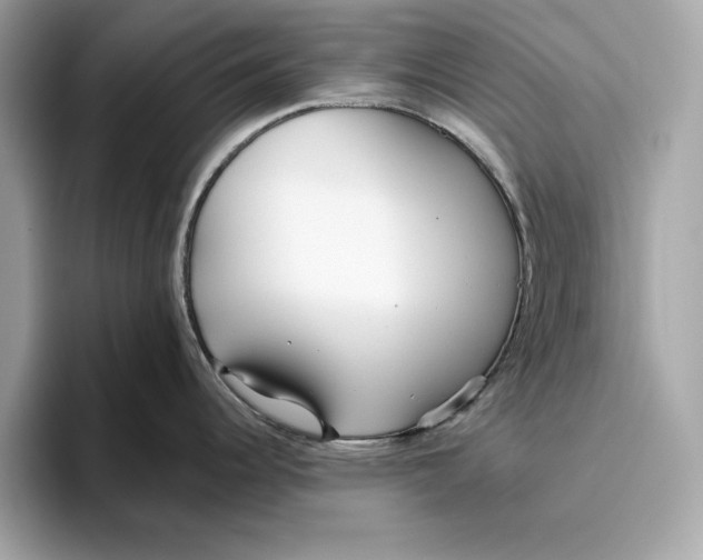 X0000096451344200802141504