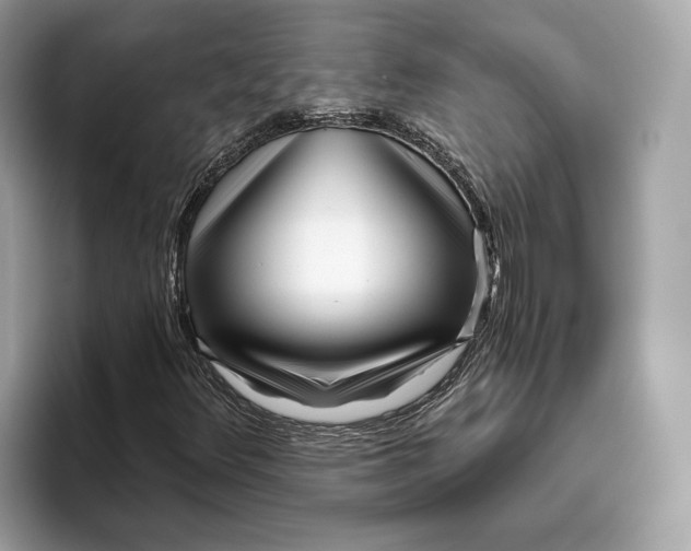 X0000096451348200802141504