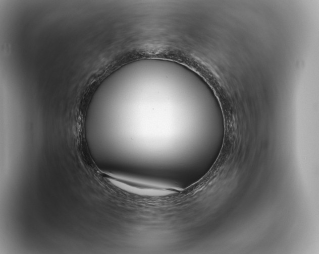 X0000096451349200802141504