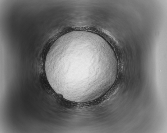 X0000096451350200802141504