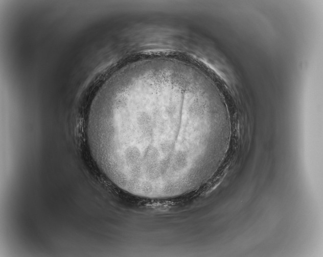 X0000096451351200802141504