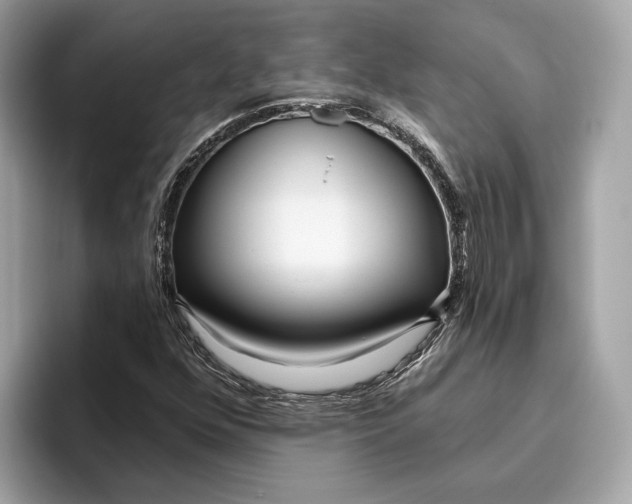 X0000096451352200802141504