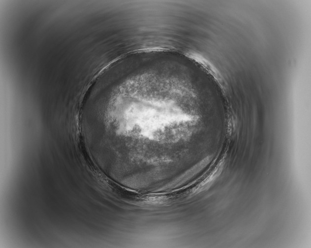 X0000096451353200802141504