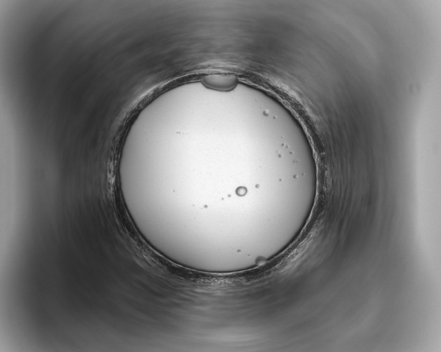 X0000096451355200802141504