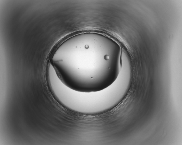 X0000096451356200802141504