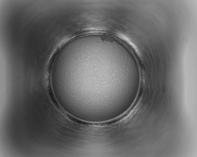 X0000096451357200802141504