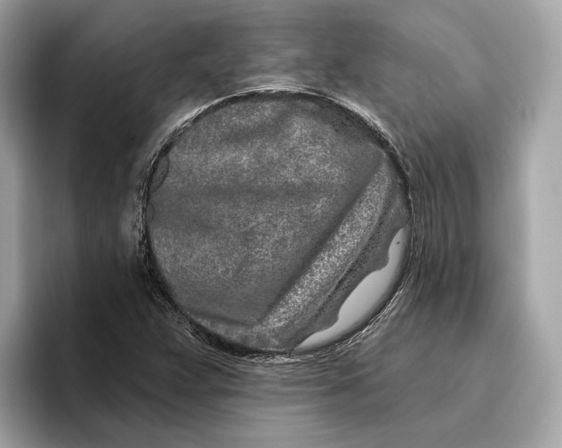 X0000096451359200802141504