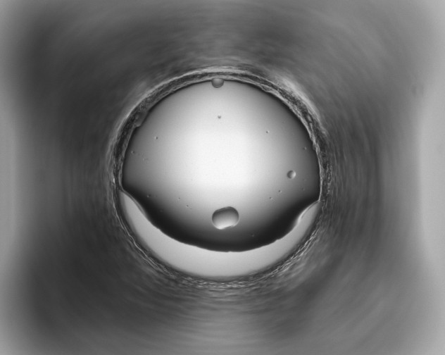 X0000096451360200802141504