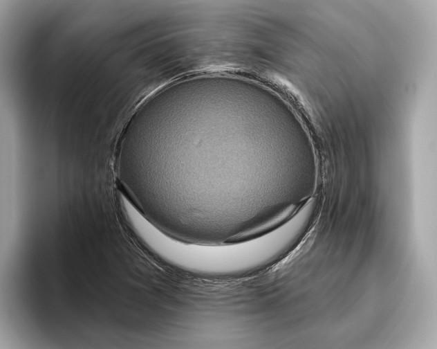 X0000096451361200802141504