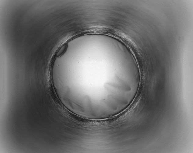 X0000096451362200802141504