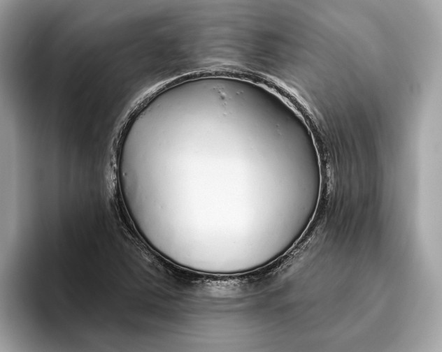 X0000096451363200802141504