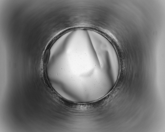 X0000096451364200802141504