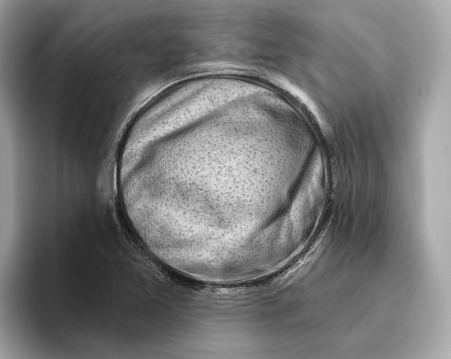 X0000096451365200802141504