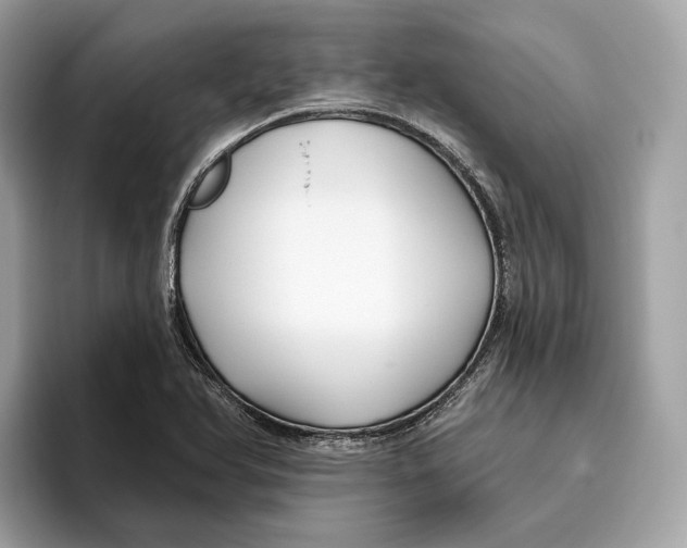 X0000096451366200802141504