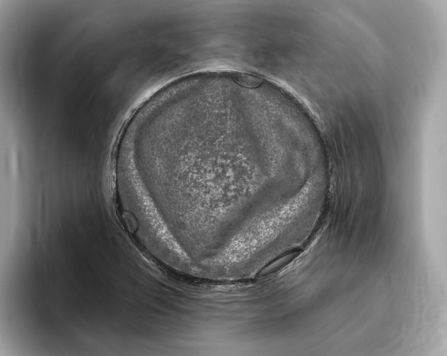 X0000096451367200802141504