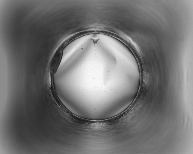 X0000096451368200802141504