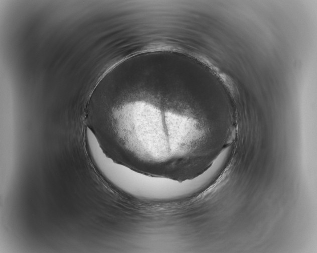 X0000096451369200802141504