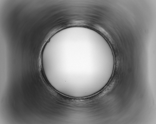 X0000096451370200802141504