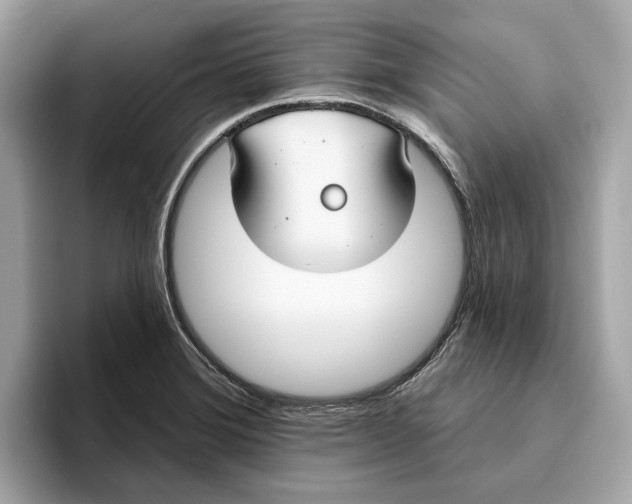 X0000096451372200802141503