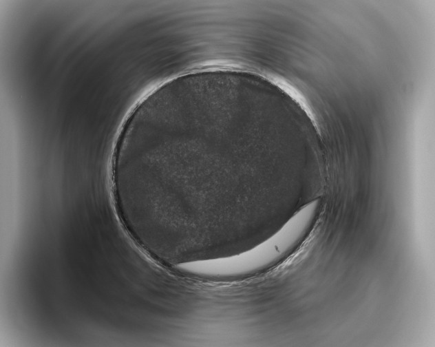 X0000096451373200802141503