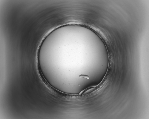 X0000096451375200802141503