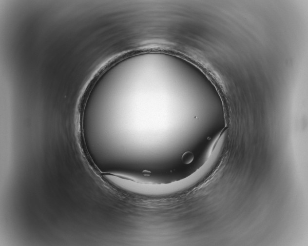 X0000096451376200802141503