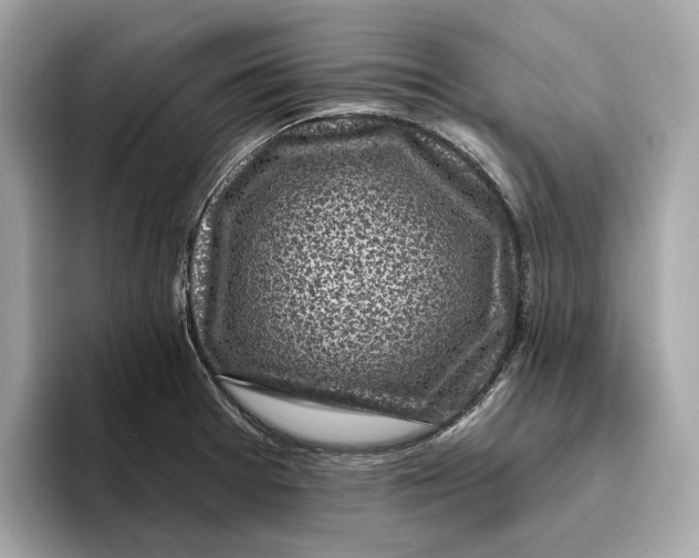 X0000096451377200802141503