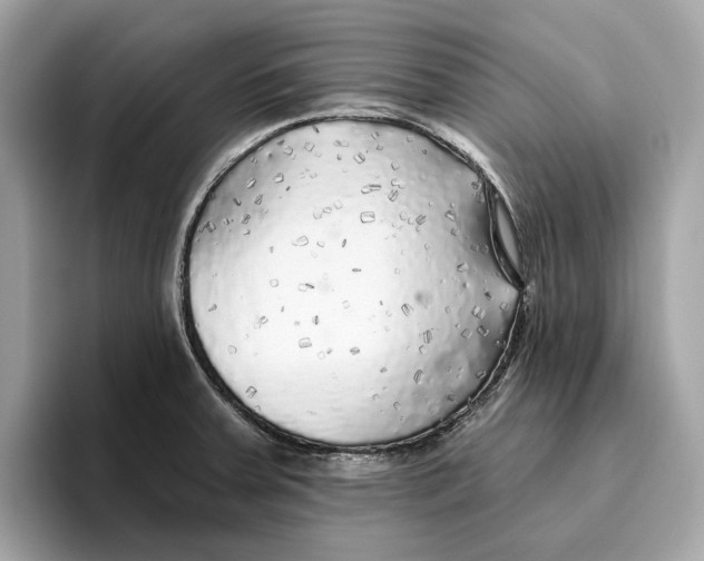 X0000096451379200802141503