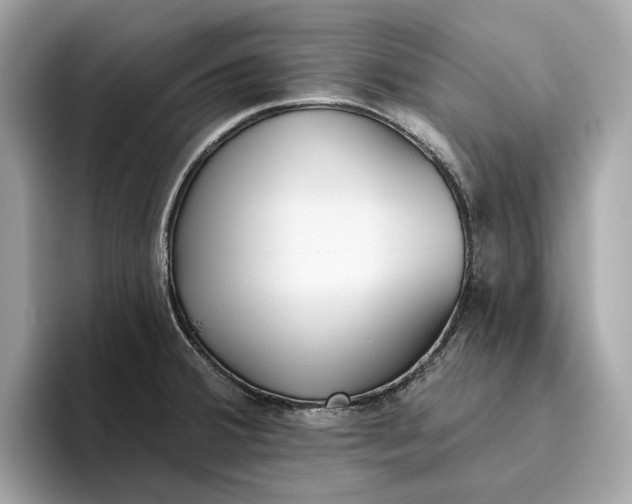 X0000096451380200802141503