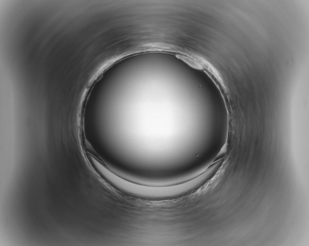 X0000096451381200802141503