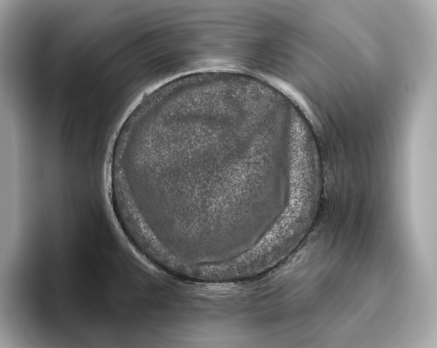 X0000096451383200802141503