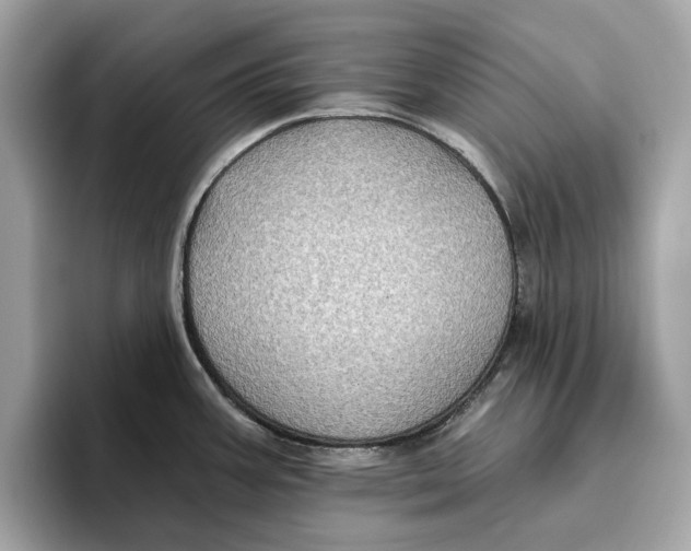 X0000096451387200802141503