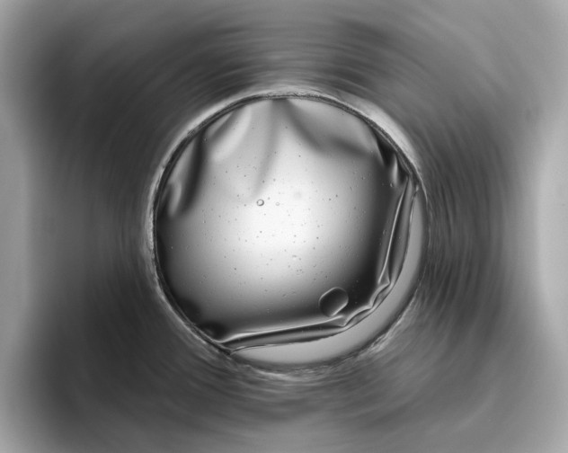 X0000096451388200802141503