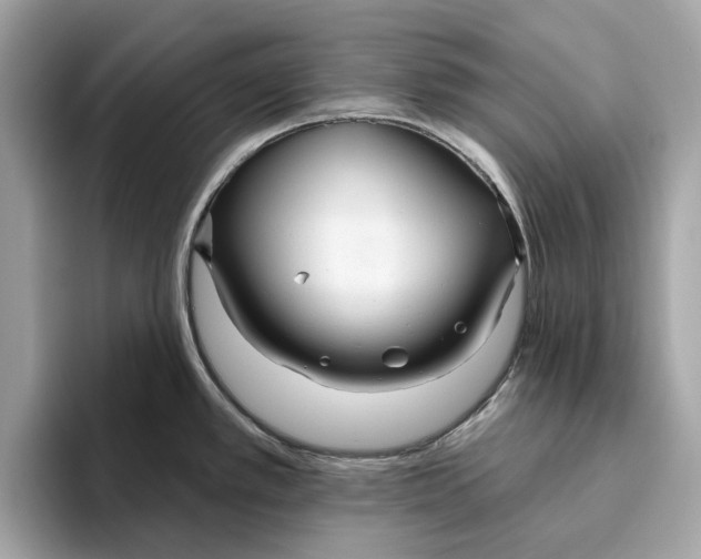 X0000096451389200802141503