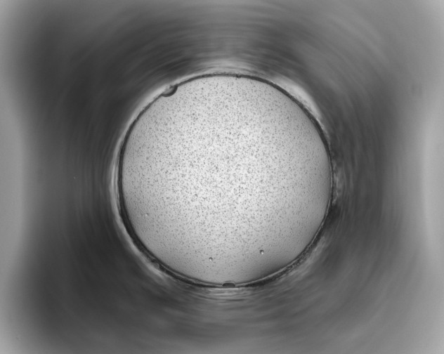 X0000096451391200802141503