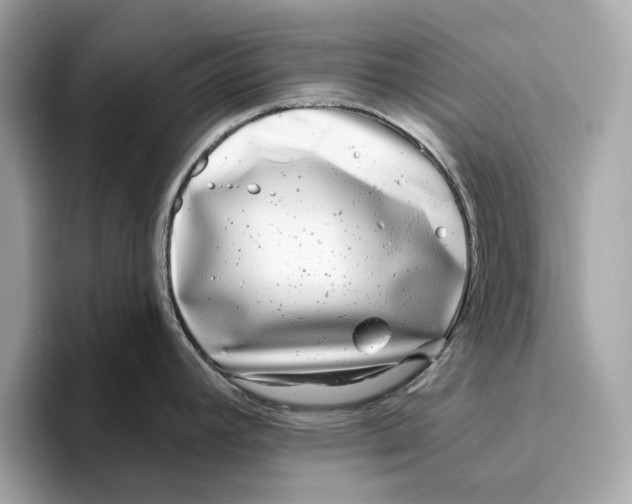 X0000096451392200802141503