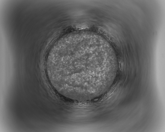 X0000096451393200802141503