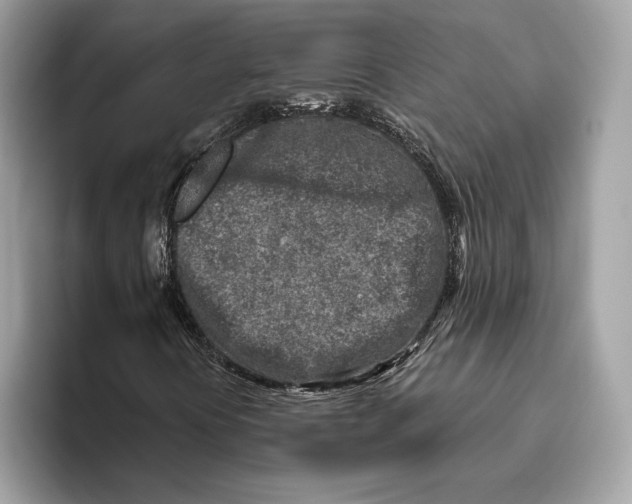 X0000096451394200802141503