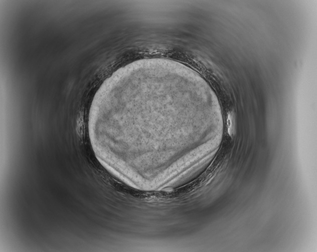 X0000096451395200802141503