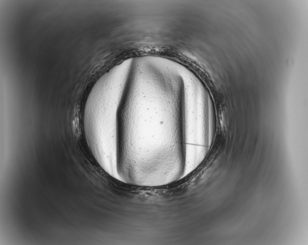 X0000096451396200802141503