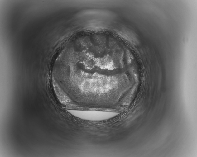 X0000096451397200802141503