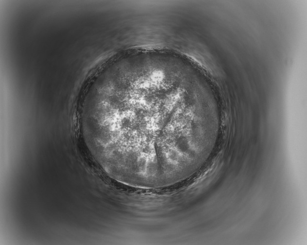 X0000096451398200802141503