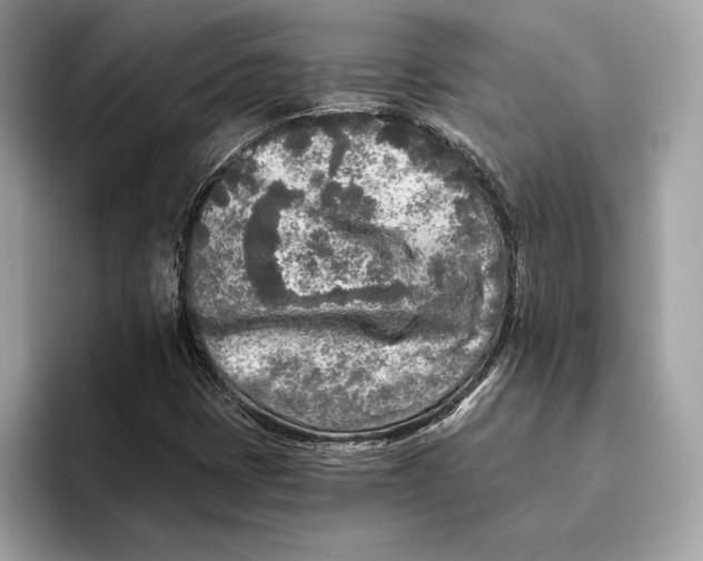 X0000096451401200802141503