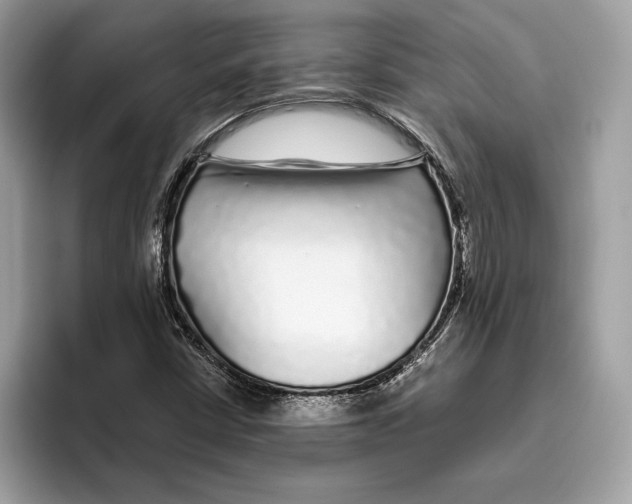 X0000096451402200802141503