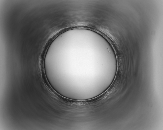 X0000096451404200802141503