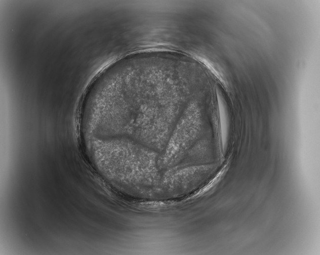 X0000096451405200802141503