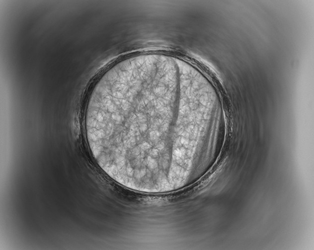 X0000096451407200802141503