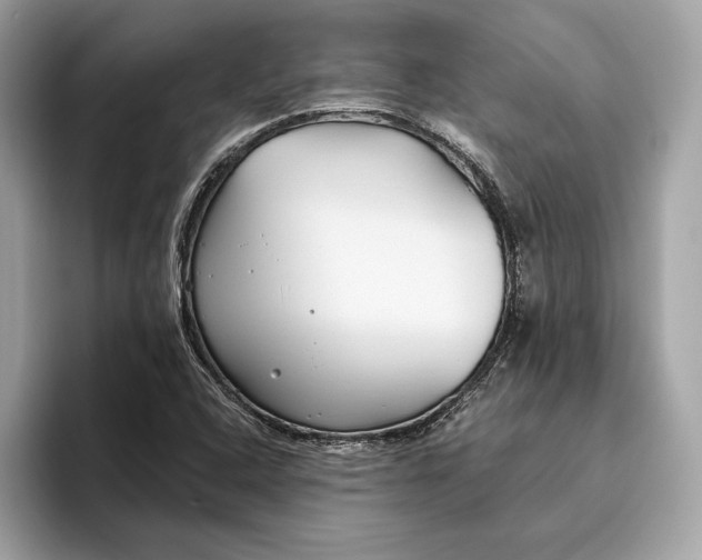 X0000096451408200802141503