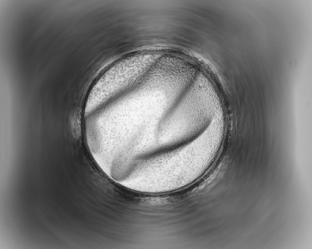 X0000096451409200802141503