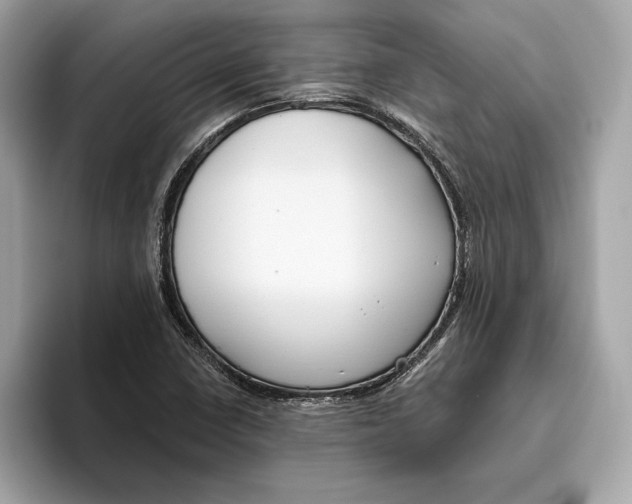 X0000096451410200802141503